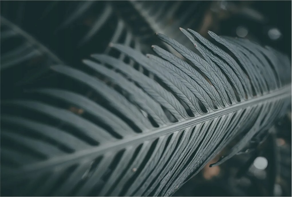 Dekoratív Fotótapéta Hálószobába Zöld levél 104x70 Ragasztó