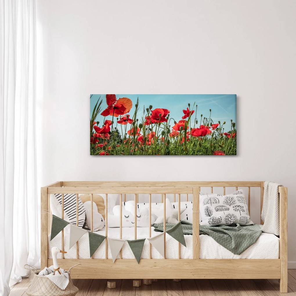 Kép - Pipacsos mező (120x50 cm)
