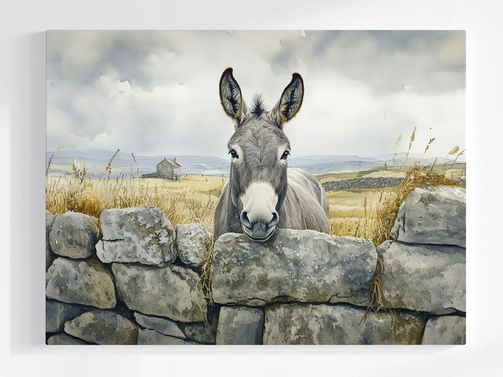 Poszter Tájkép Írország Fal Szamár Természet 100x75