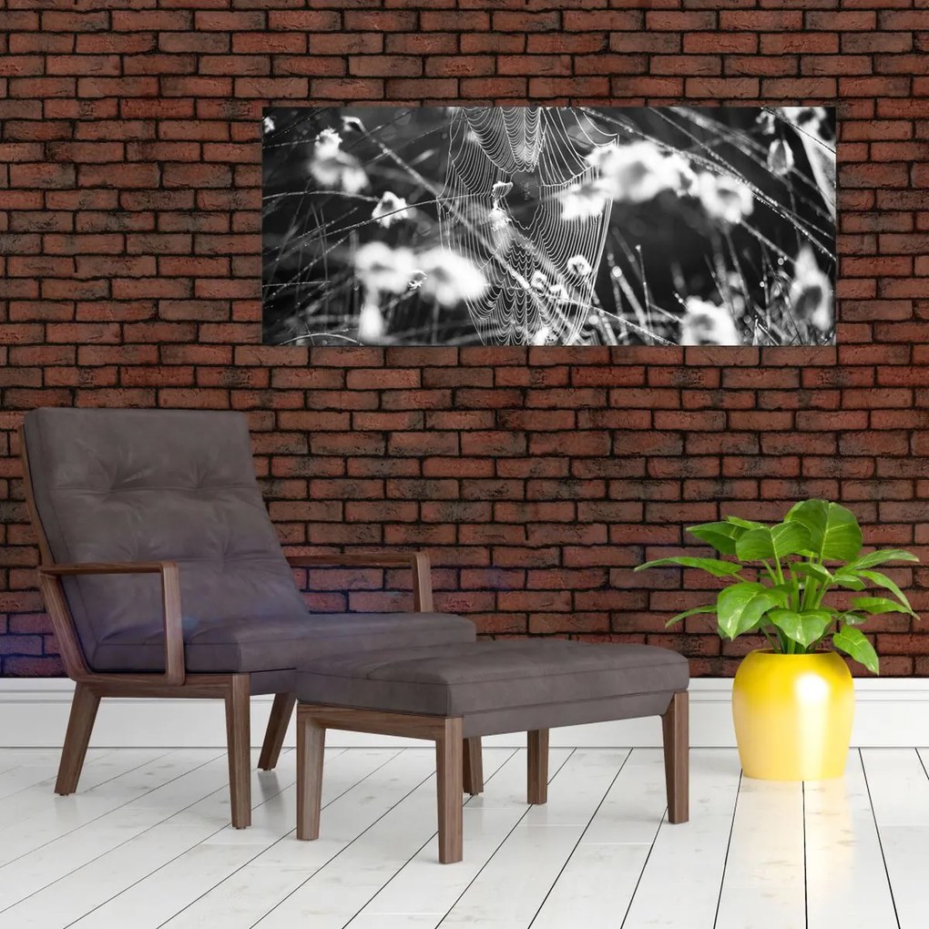 Kép - Pókháló a réten (120x50 cm)