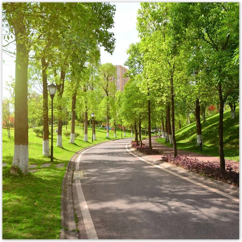 Poszterek 100x100 Ösvény a parkban természet