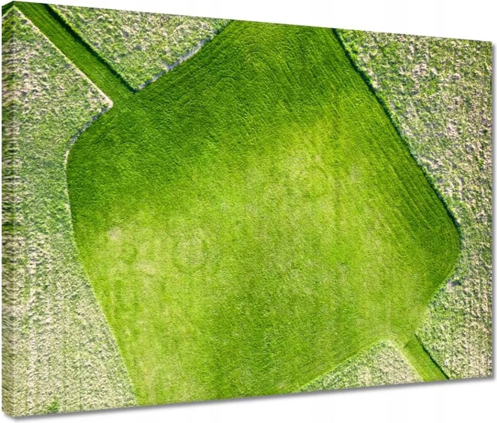 Vászonkép 40x30 Fű mező rét út