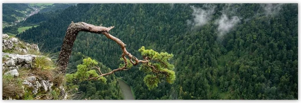 Poszterek 200x66 Tájkép Sólyomkő