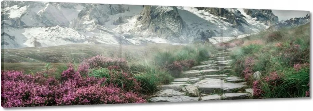 Festmények 120x40 Hegyi kilátás Tájkép Köd