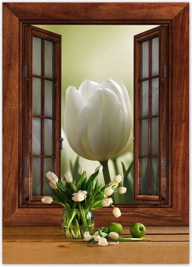 Poszterek 50x70 Fehér tulipánok