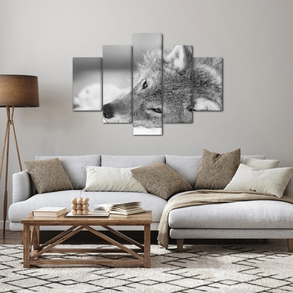 Kép - Farkas, fekete-fehér (150x105 cm)