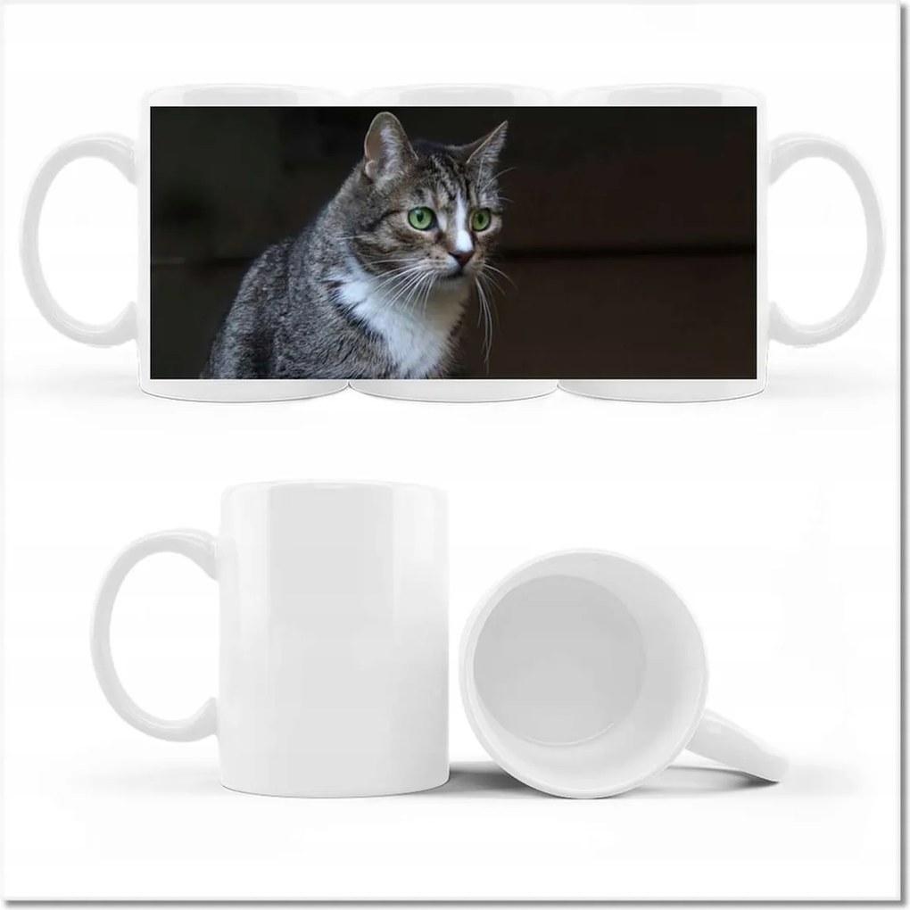 Nyomott mintás bögre Cica Cicák