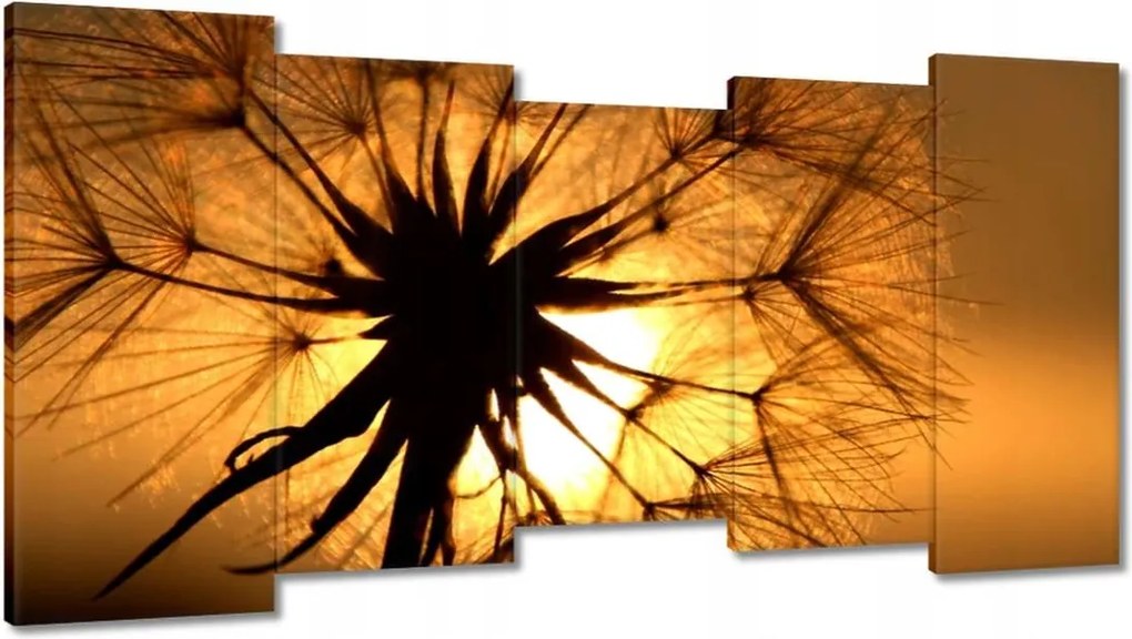 Vászonkép 150x80 Pitypang Virág Virágok