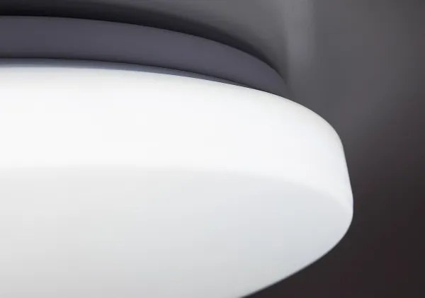 Rabalux 71442 - LED dimmelhető mennyezeti lámpa DANNY 2 LED/34W/230V 3000-6500K átm. 38 cm + távirányítóval