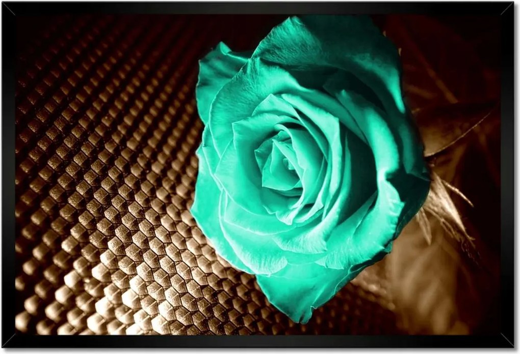 Poszter keretben 60x40 Türkiz rózsa szépia