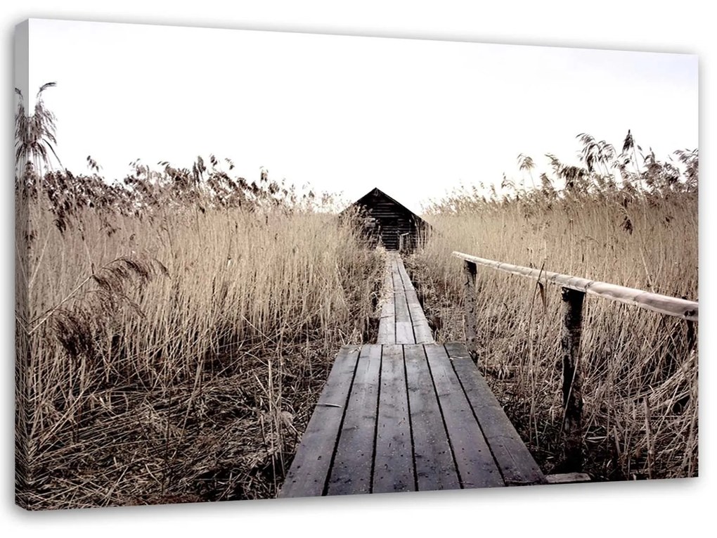 Gario Vászonkép Régi móló a magas nádasban Méret: 100 x 70 cm