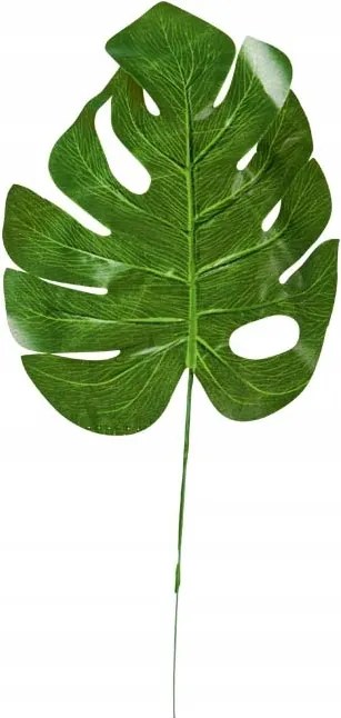 Dekoratív monstery levél 42 cm sírcsokor kompozíciókhoz