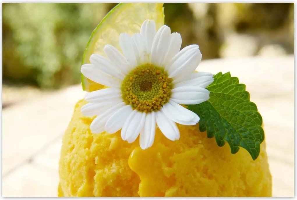 Poszterek 120x80 Gyümölcsös sárgabarack fagylalt