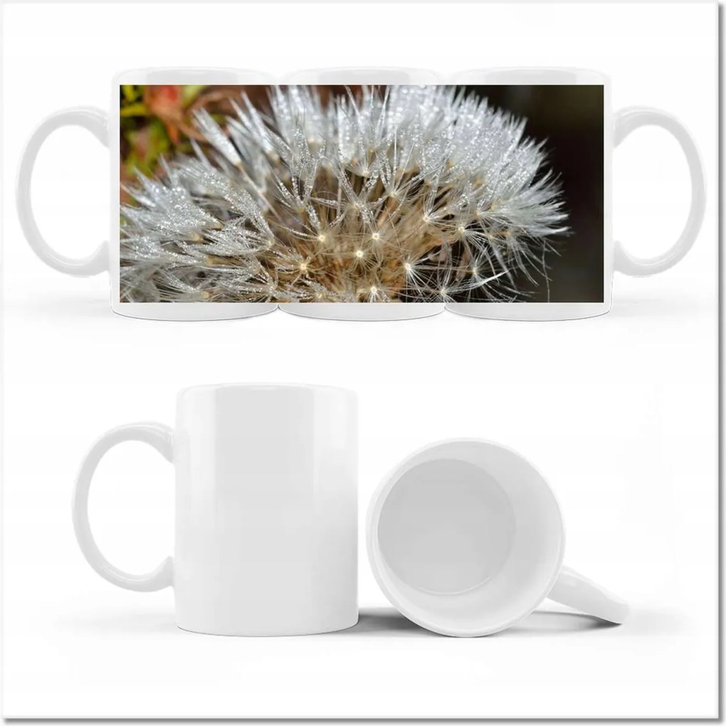 Pitypang fényképes bögre Virág Virágok