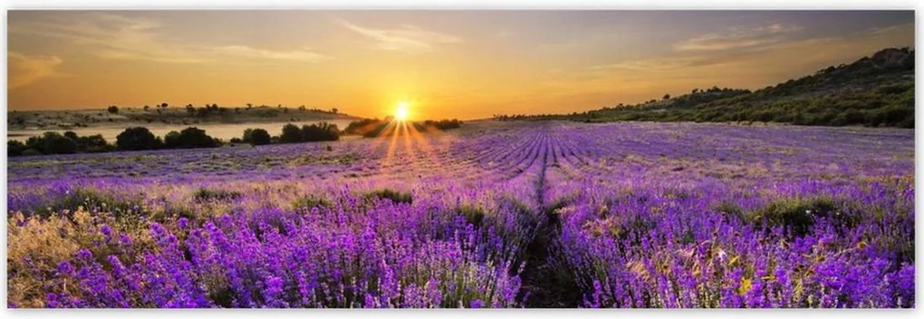 Poszterek 200x66 Levendula tájkép Nap