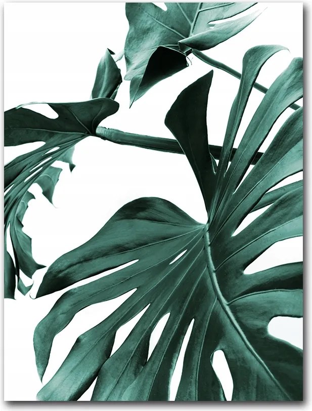 Monster Levelek poszter 30x40 cm nyomtatás kép #138