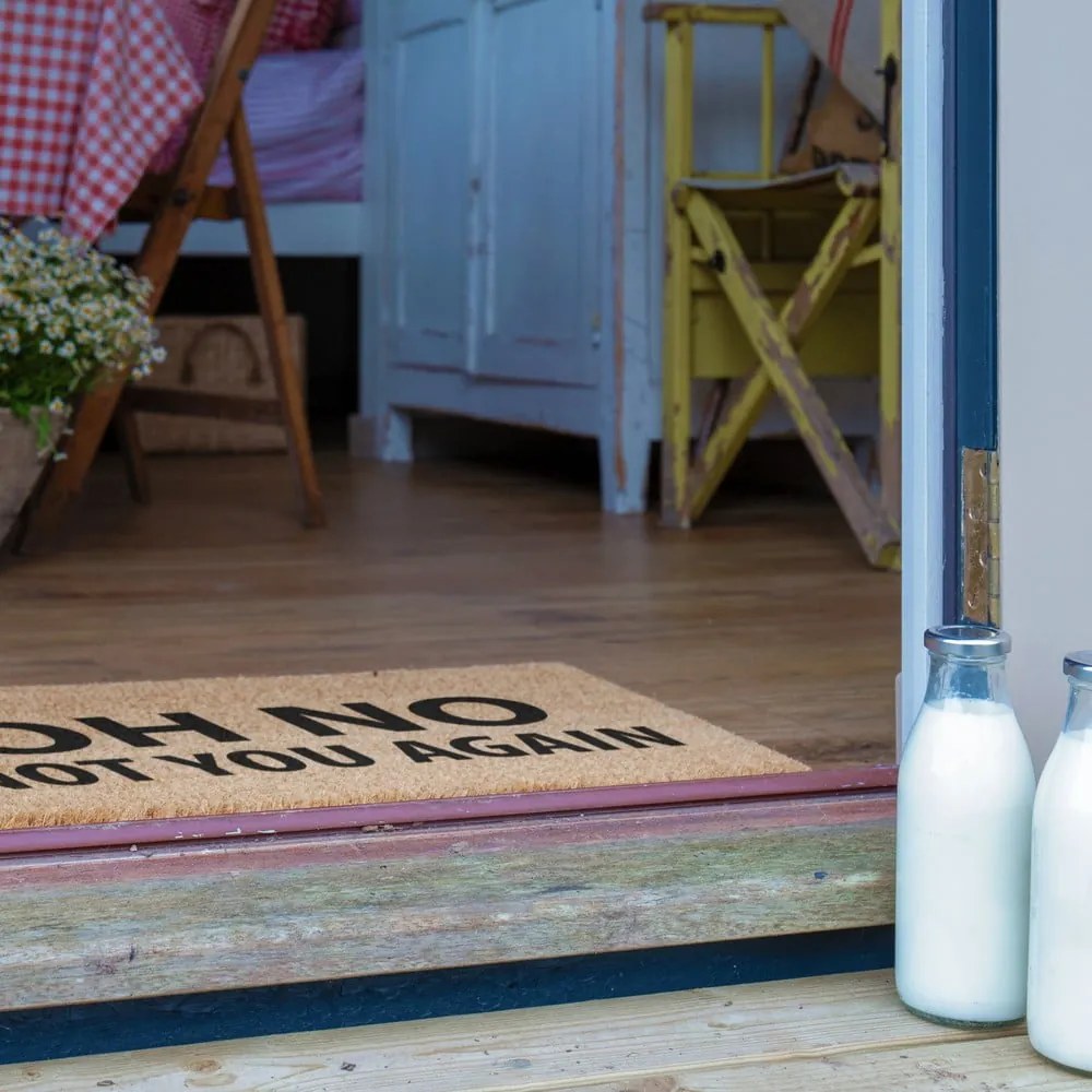 Kókuszrost lábtörlő 40x60 cm Not You Again – Artsy Doormats