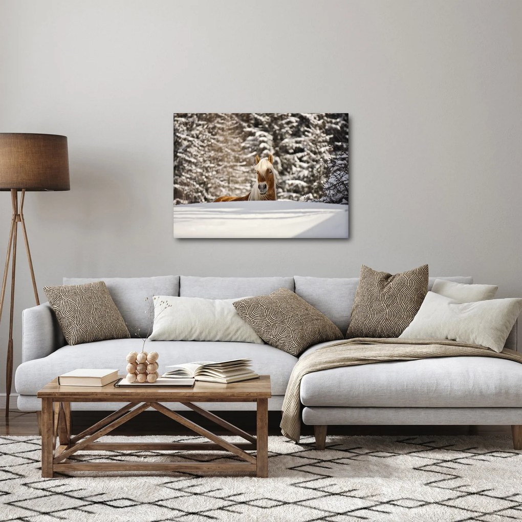 Kép - Ló a téli tájban (70x50 cm)