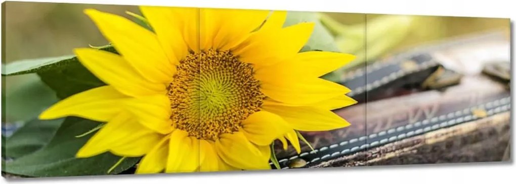 Vászonkép 60x20 Napraforgó a bőröndben