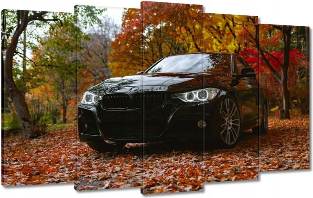 Vászonkép 100x60 Fekete Bmw Ősz