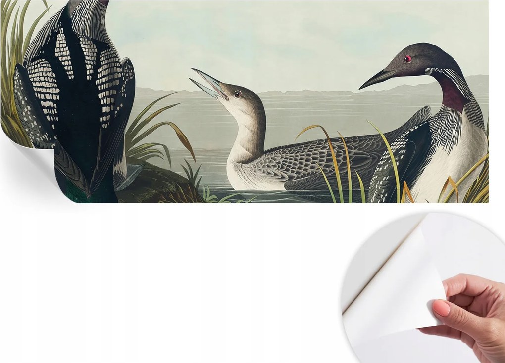 Öntapadós tapéta Divatos 3D fali ragasztó Madarak a vízparton 250x104 cm