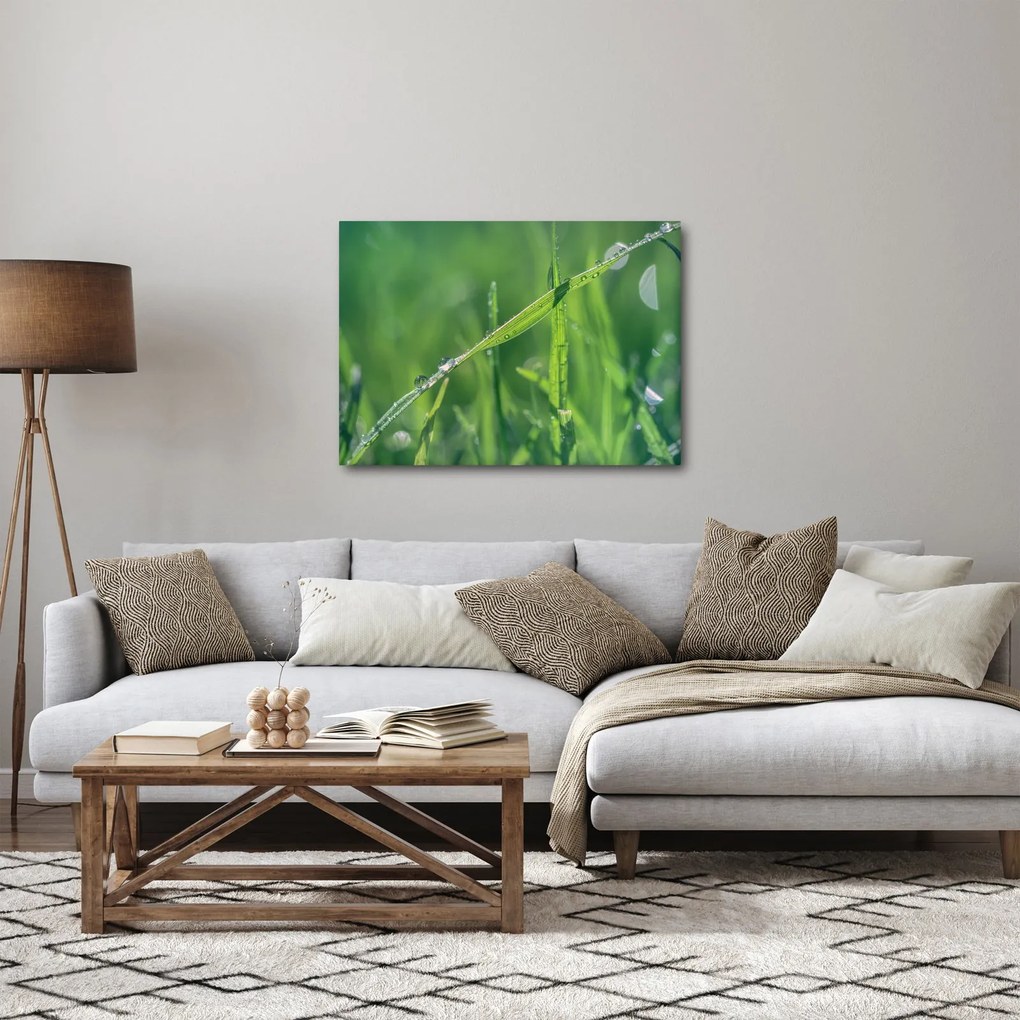 Harmat cseppek képe (70x50 cm)
