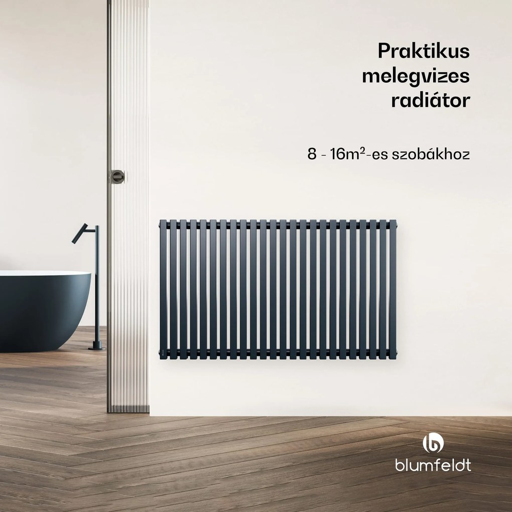 Blumfeldt Delgado radiátor | Modern kivitel | 63 x 100 cm | 891 W | Oldalsó csatlakozás