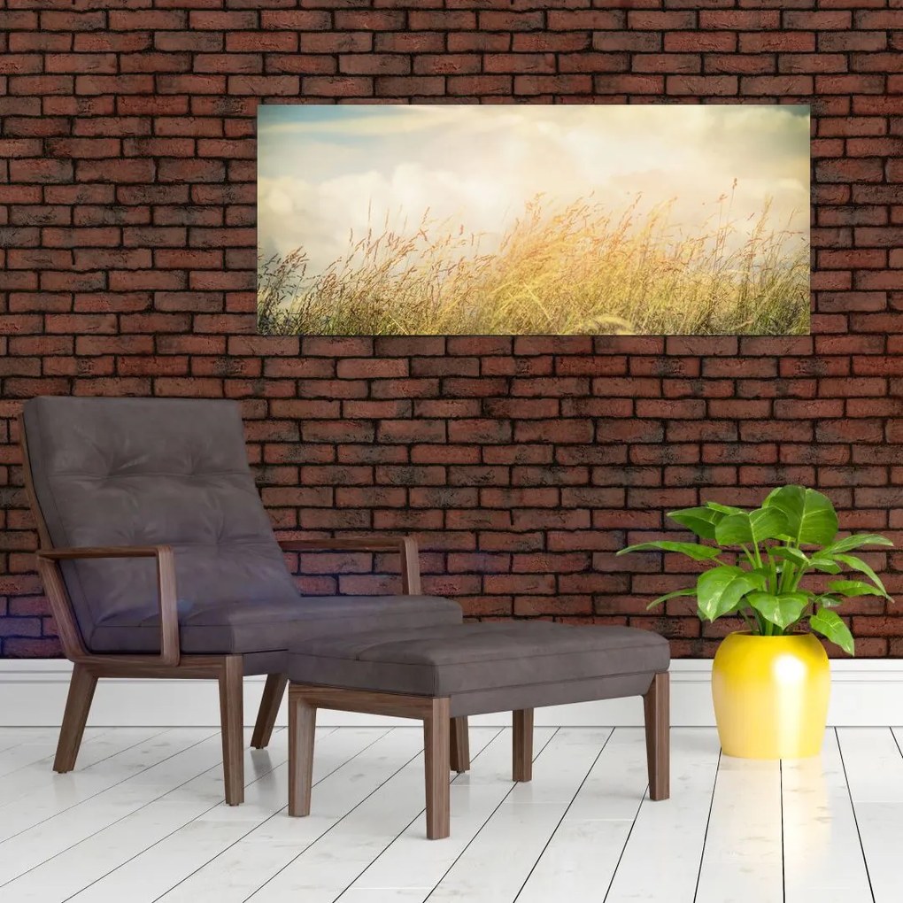 Kép - Mező ősszel (120x50 cm)