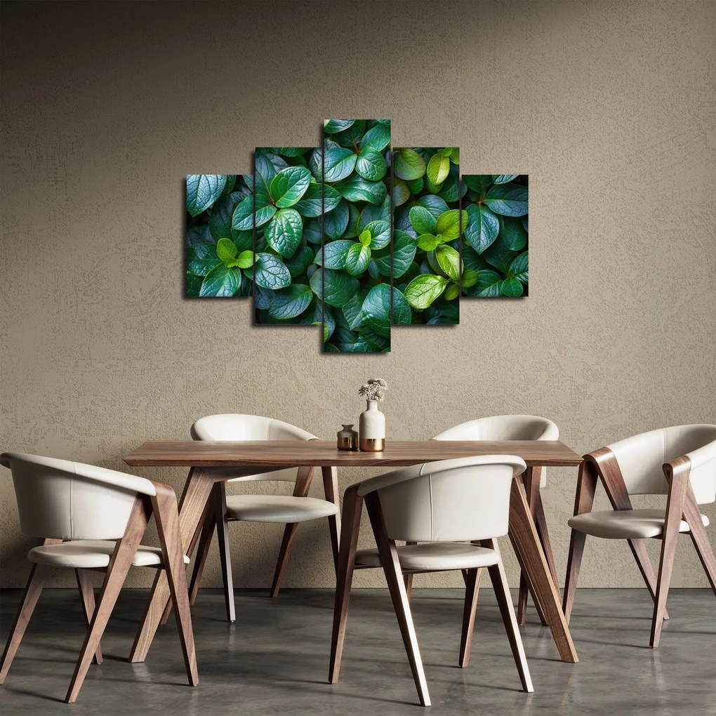 Kép - Zöld növények (150x105 cm)