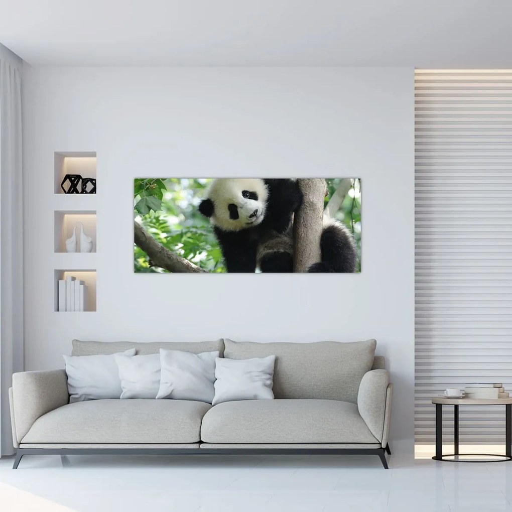 Kép - Panda a fán (120x50 cm)