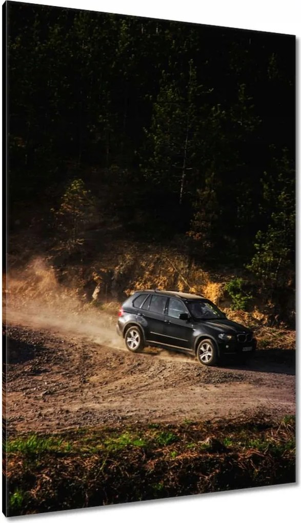 Vászonkép 80x120 Fekete terepjáró Bmw