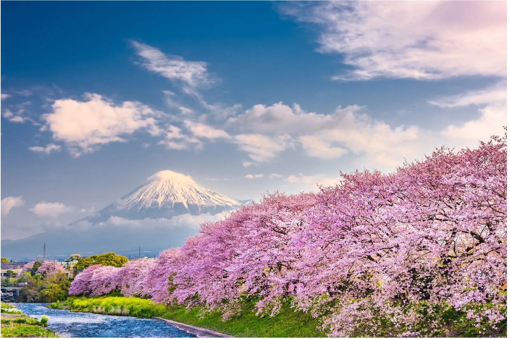 Kép - Japán tavaszi táj (90x60 cm)