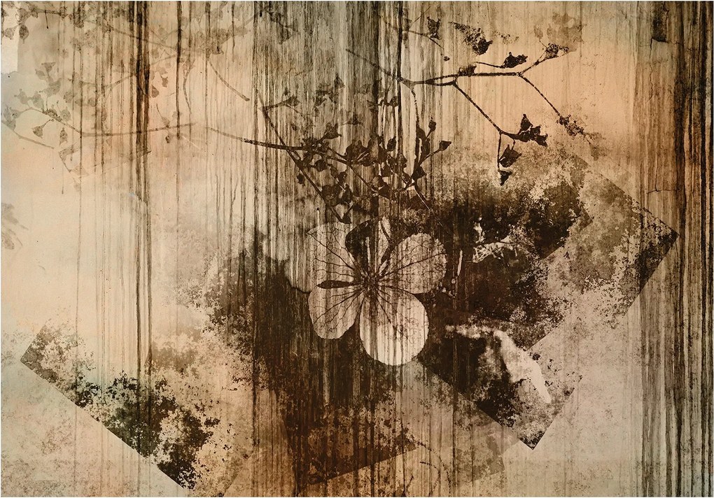 Tapéta Absztrakt Virágok Vintage Grunge Geometria Nyugalom Vinyl 368x254+ragasztó