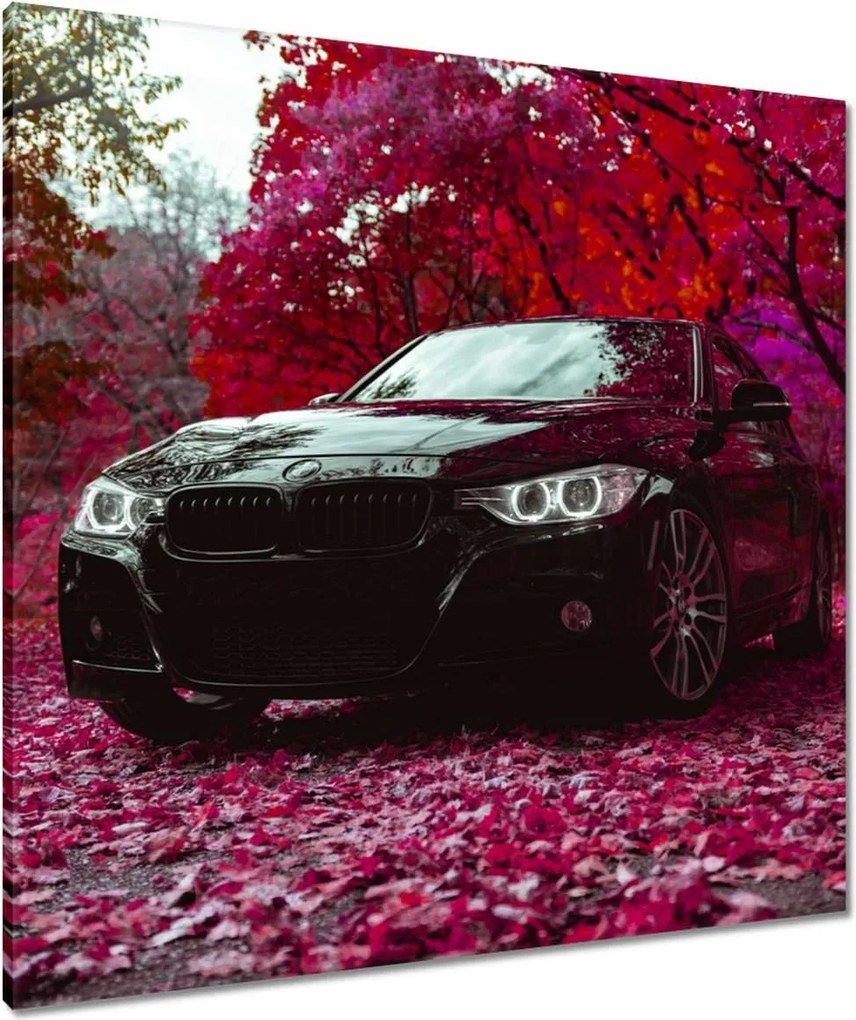 Vászonkép 80x80 Fekete Bmw Ősz