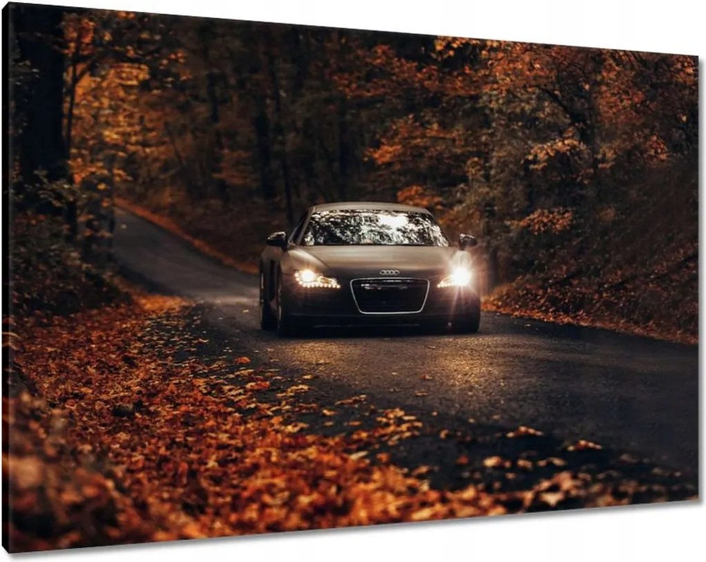 Képek 100x70 Audi Őszi tájkép