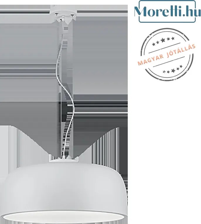 TRIO 309800431 BARON Modern Függesztett Lámpa LED IP20