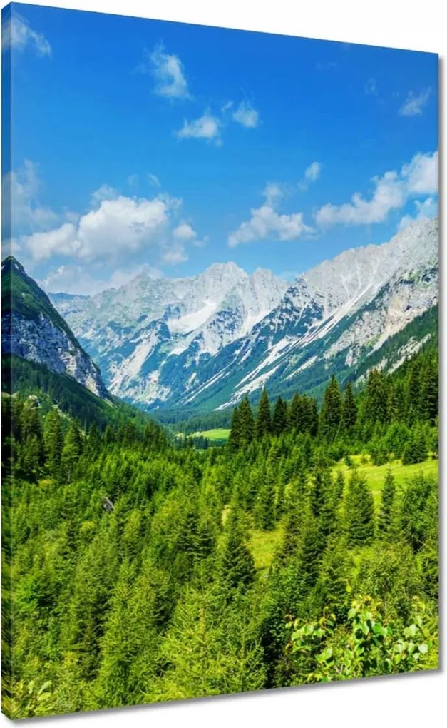 Vászonkép 50x70 Hegyi táj gyönyörű felhőkkel Fák a hegyekben