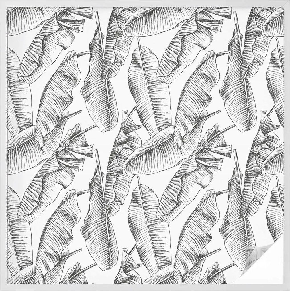 Szélvédőfólia Ablak Adatvédelem Trópusi levelek 100x100