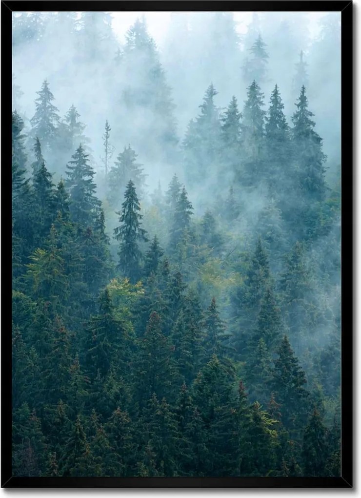 Poszter fekete keretben 50x70 Erdő a ködben Utazás