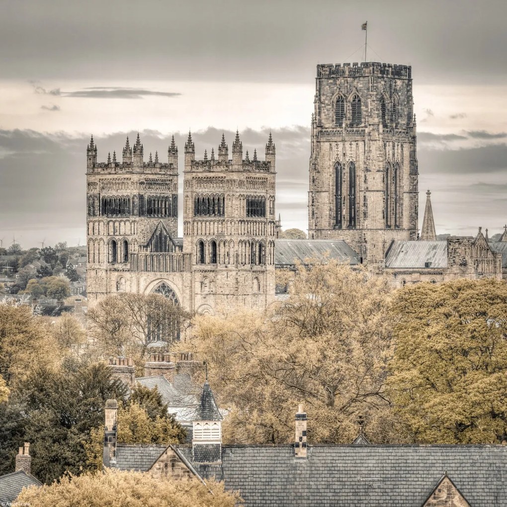 Poszter 30x30cm Kilátás a Durham-i székesegyházra és iskolára, Assaf Frank