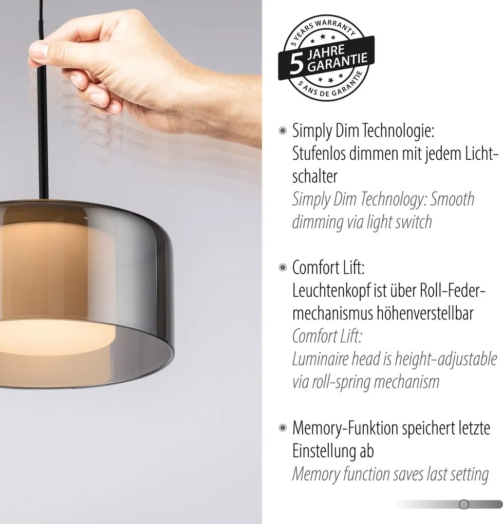 Paul Neuhaus modern függeszték rika fekete füstös pln2112-18