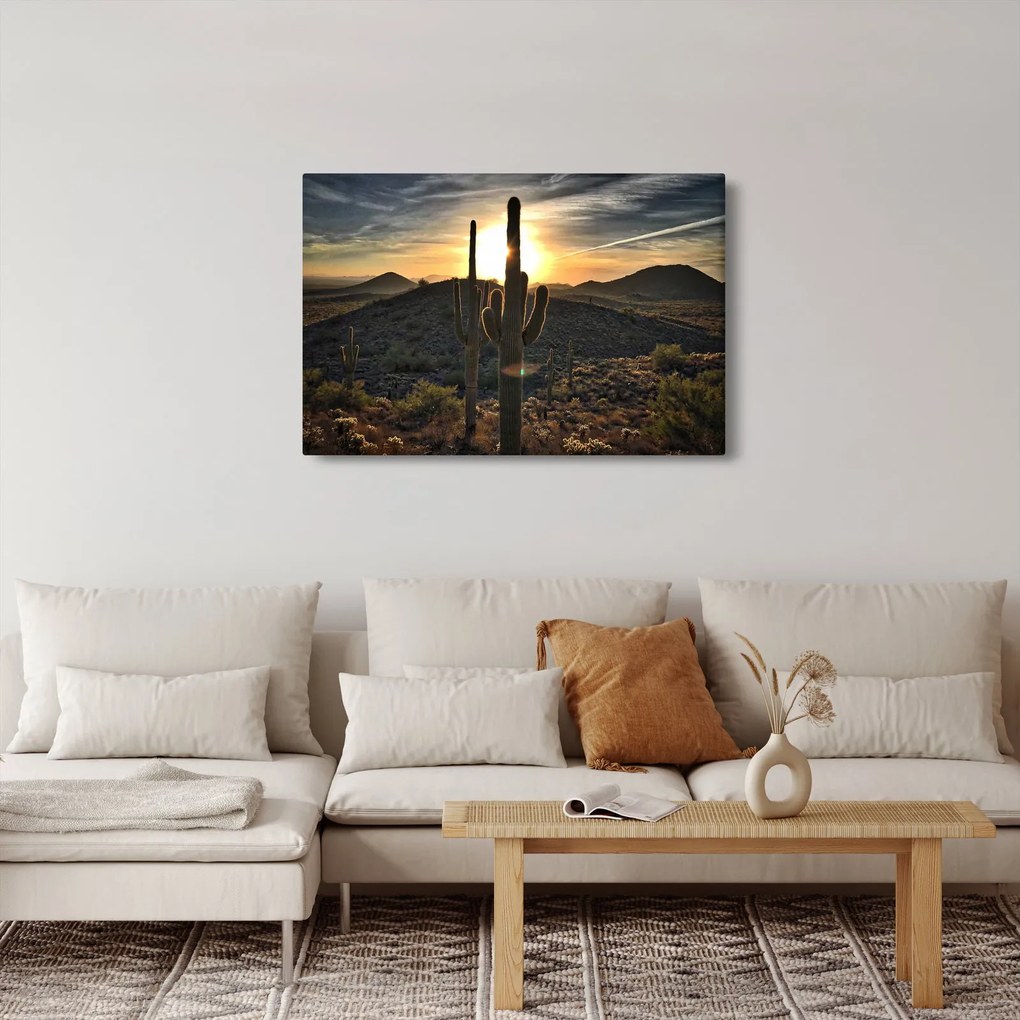 Kép - kaktuszok a napon (90x60 cm)
