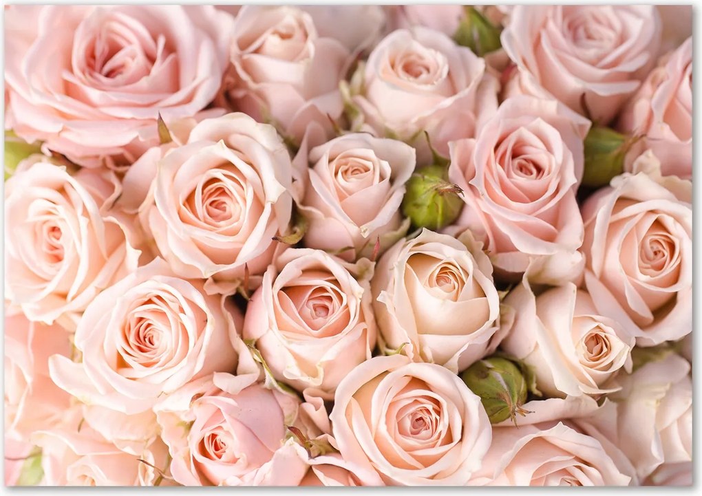 Konyhai védőpanel üvegből Rózsa Ragasztó Ingyenes