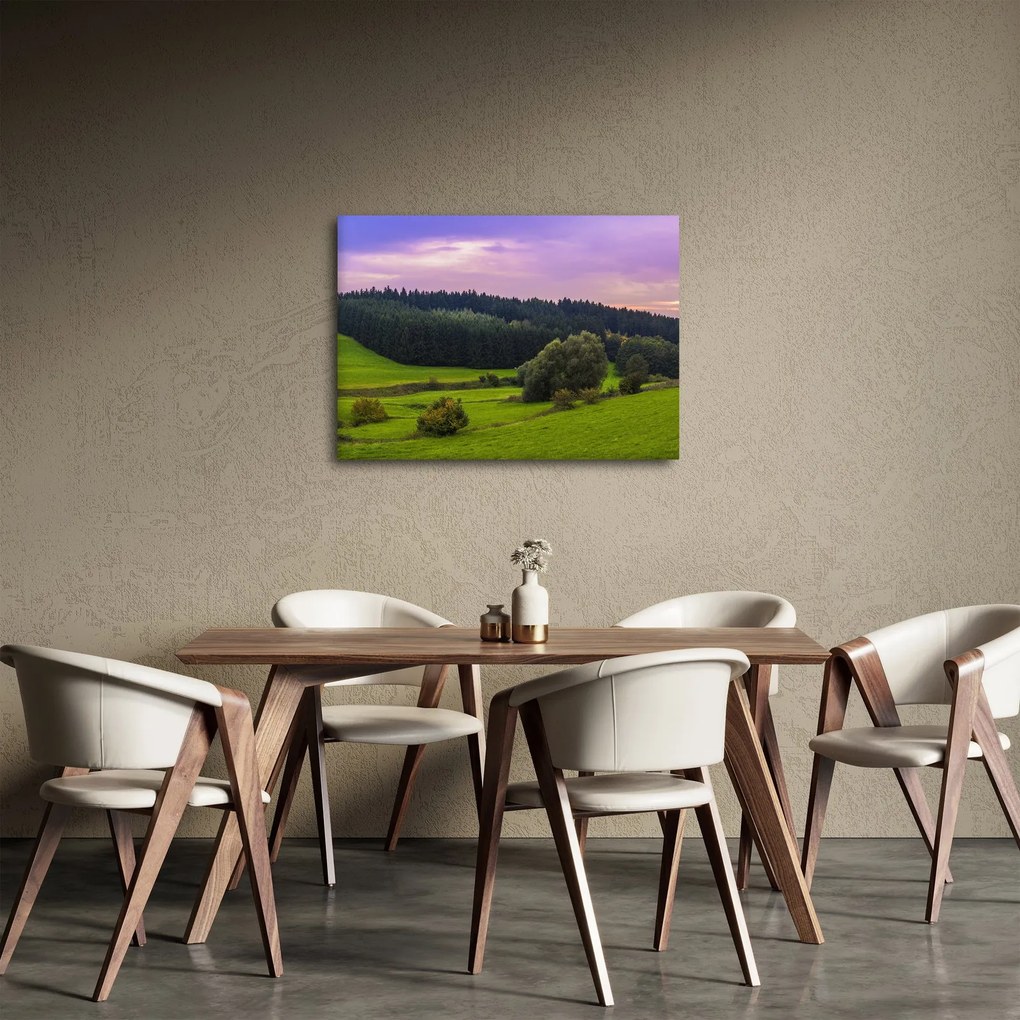 Rét képe (70x50 cm)