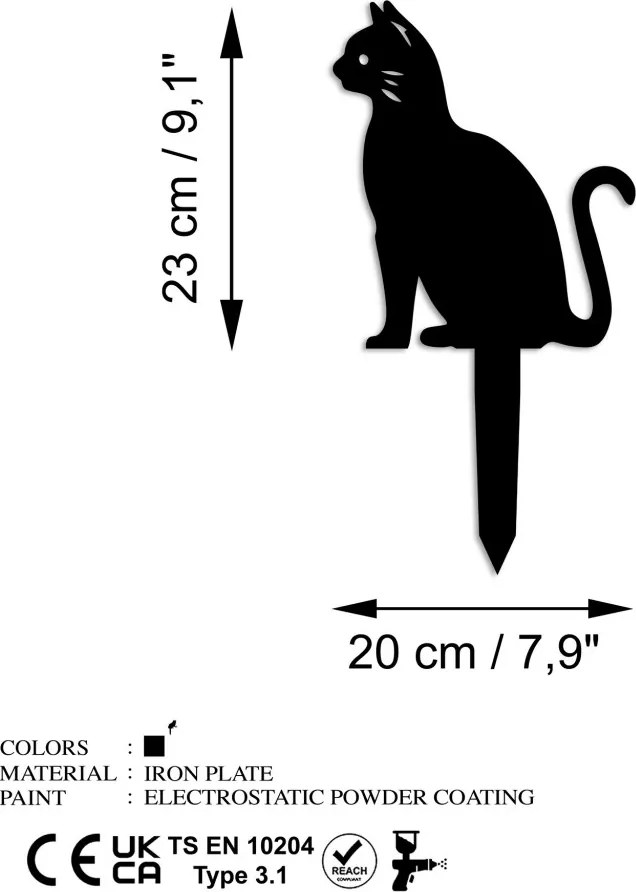 Cat 02