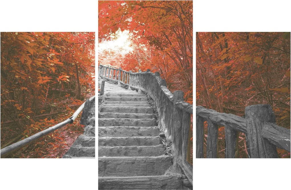 Kép - Lépcsők a természetben, narancssárga (90x60 cm)