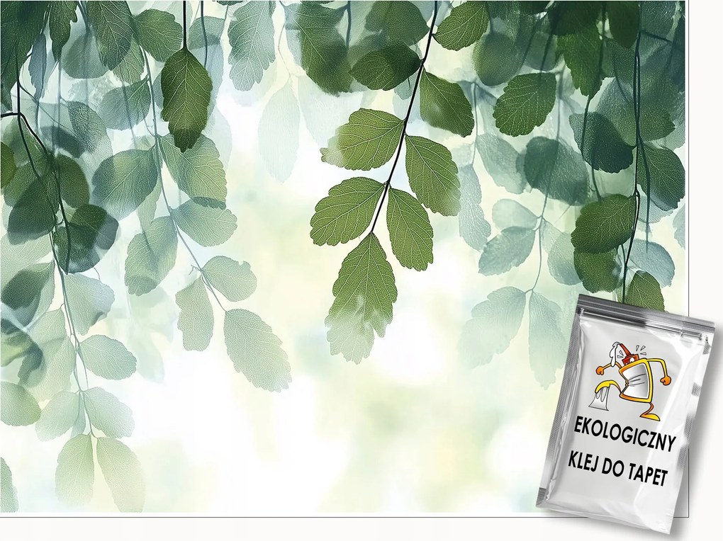 Fotótapéta Levelek Zöld Természet Hálószoba Nappali Tapéta Flizelina 200x140