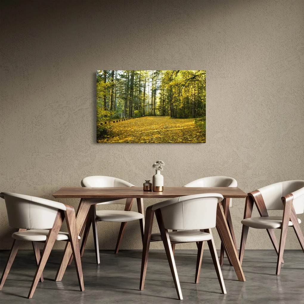 Kép - erdő ősszel (90x60 cm)