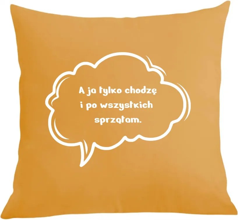 Párna párnahuzat Mindenkit takarítok