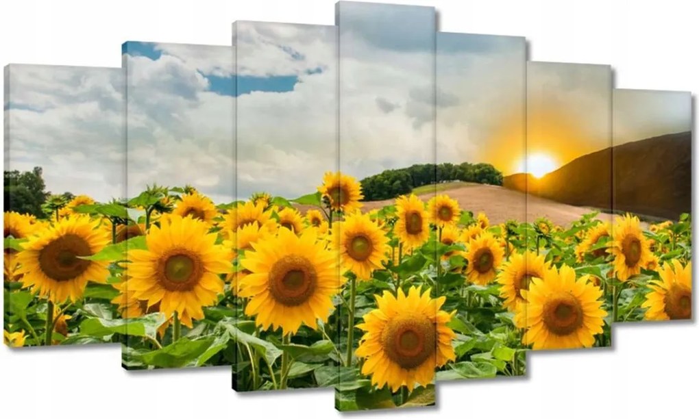 Festmények 140x80 Tájkép Napraforgók